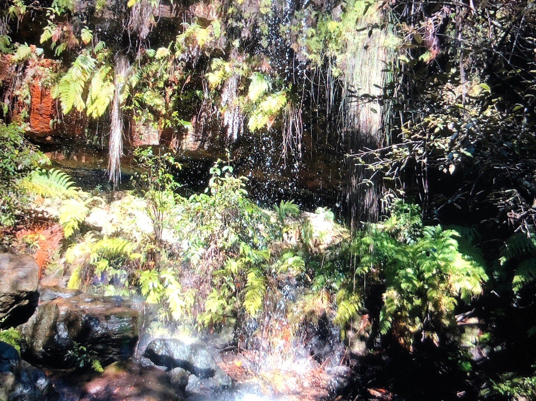 Hazel Falls Woodford-Woodford必去景点