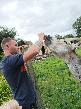 Domaine de la Reine Blanche主图