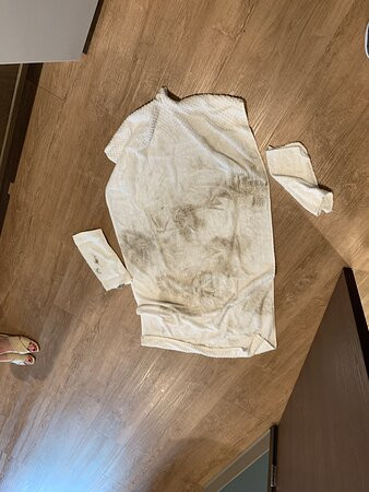 芝加哥丁雷公园伍德斯普林套房酒店主图