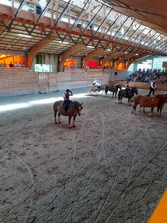 Haras National de Lamballe景点图片