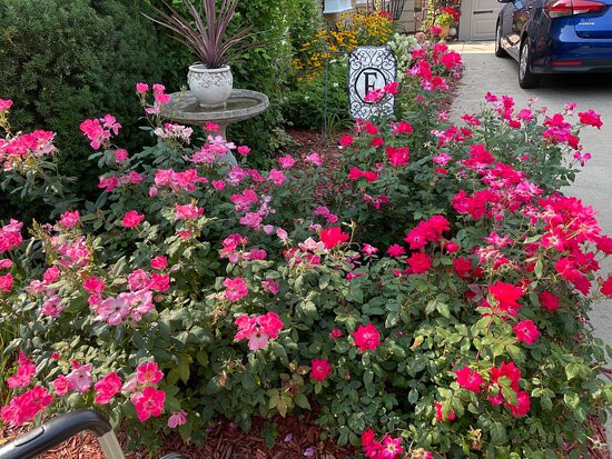 1810 Emerson House主图