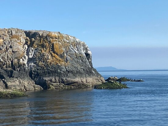 Discovery Marine Safaris Ltd.-坎贝尔里弗必去景点