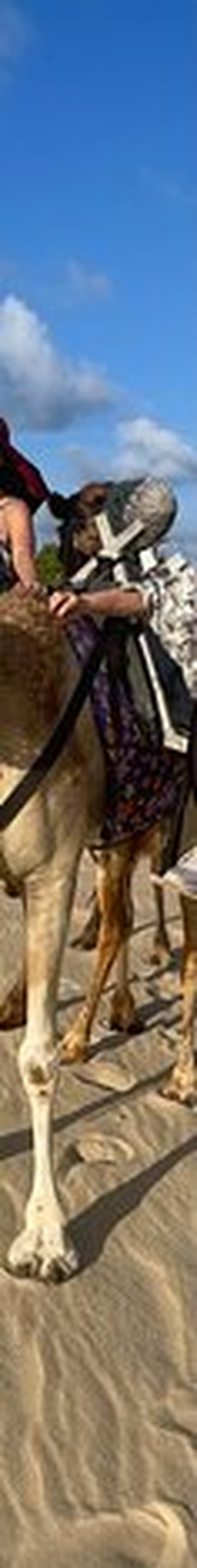 Passeios de Dromedarios-Natal必去景点