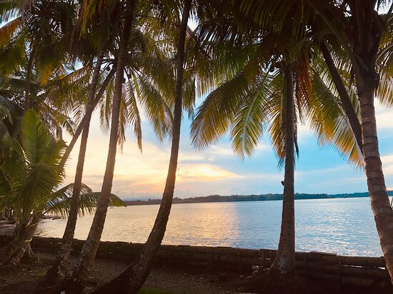 The Firefly Bocas Del Toro主图