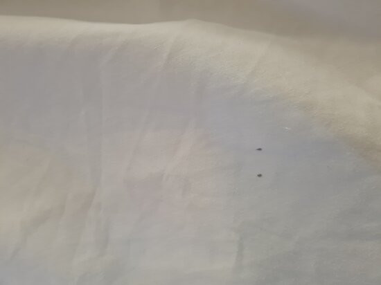 诺富特斯蒂夫尼奇酒店主图