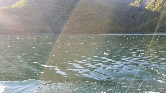 Kayak Tours Berisha-Koman必去景点