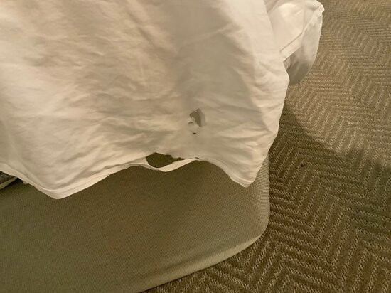 Briar Barn Inn主图