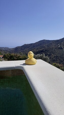 Casa Los Dos bed & breakfast主图