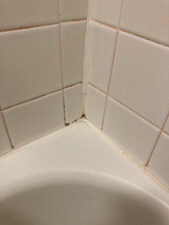 AmericInn By Wyndham Minocqua主图