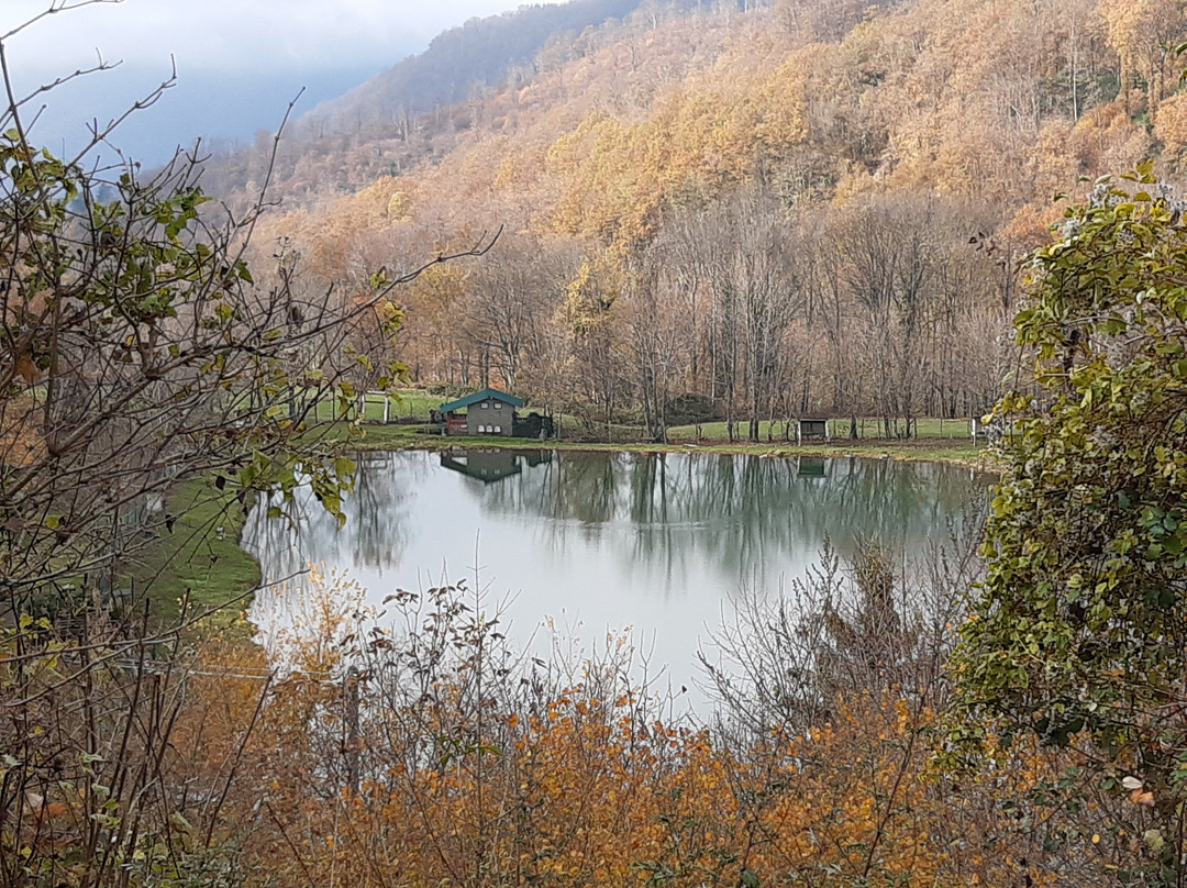 Riserva Di Prato A Lago