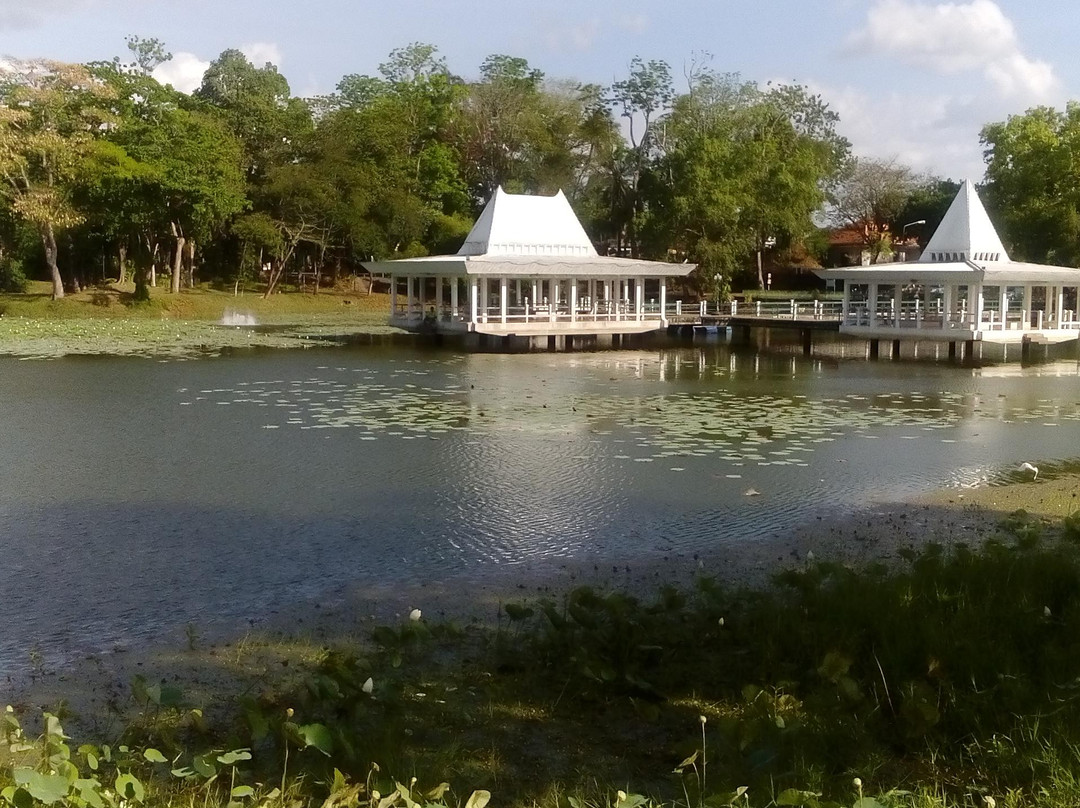 Kapang Surin Pond景点图片