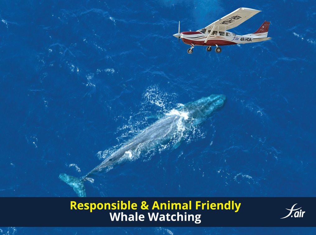 F.air-加勒必去景点