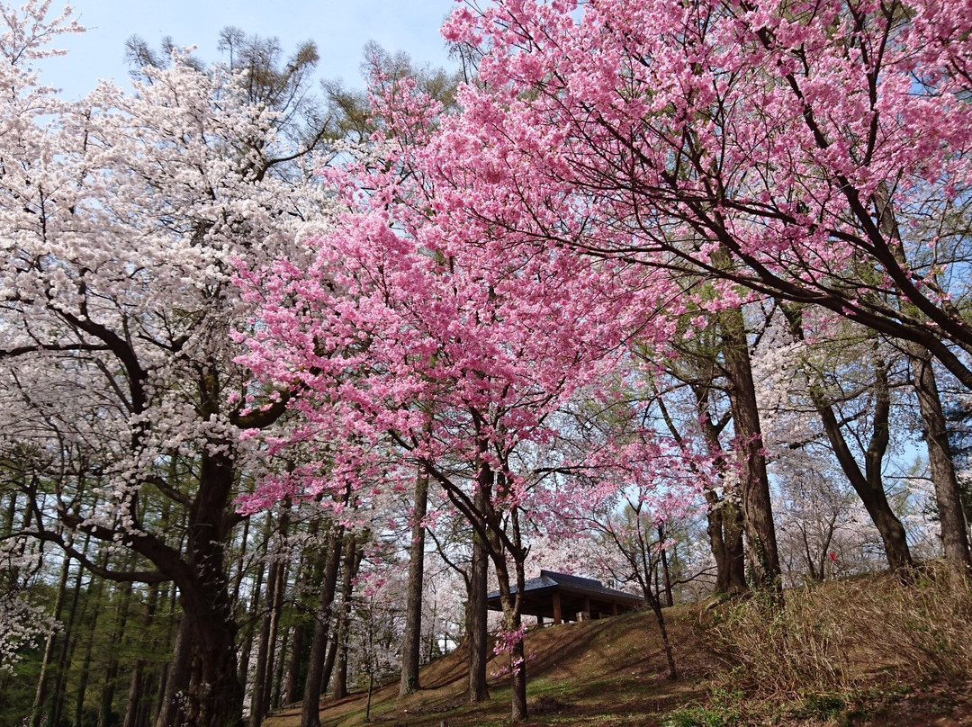 Kyozukayama Park景点图片