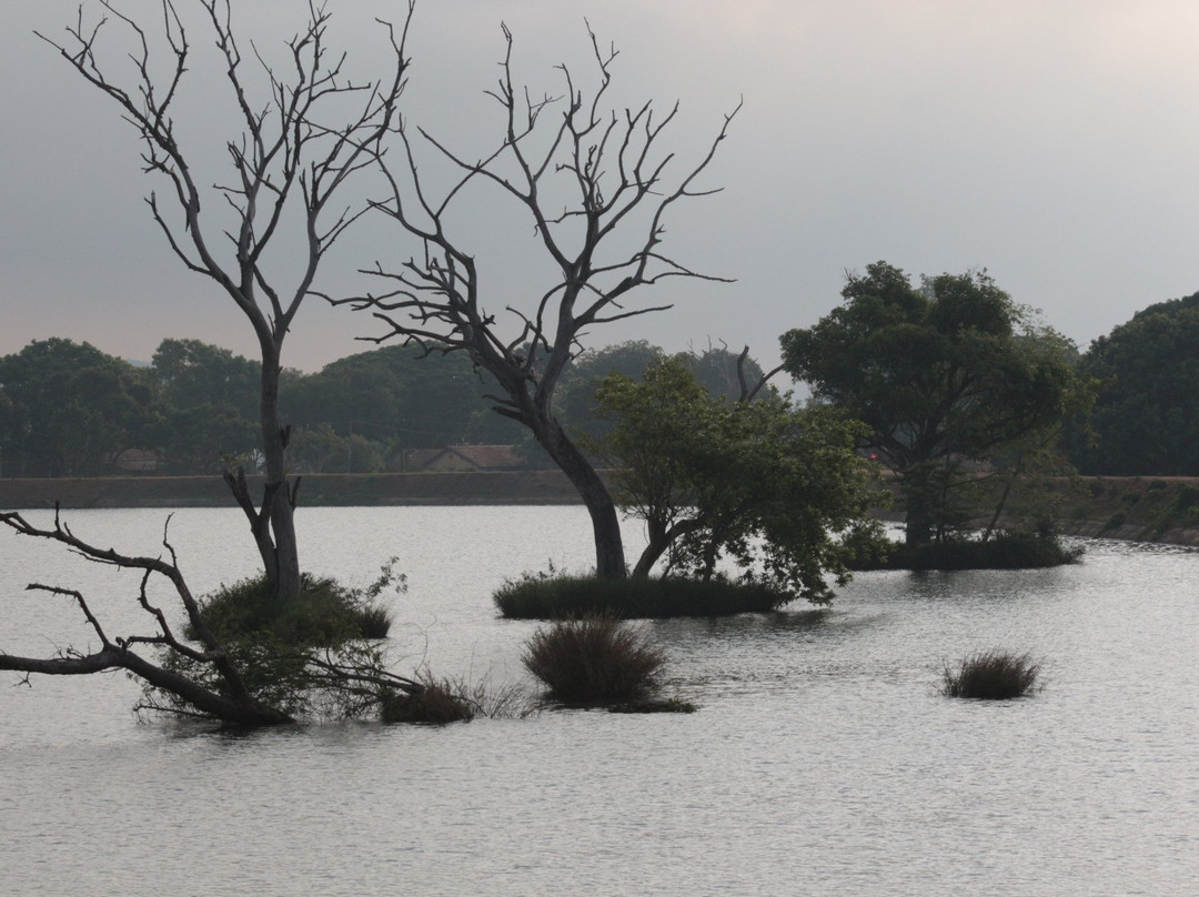 The Nilgiris District旅游景点-Moyar River
