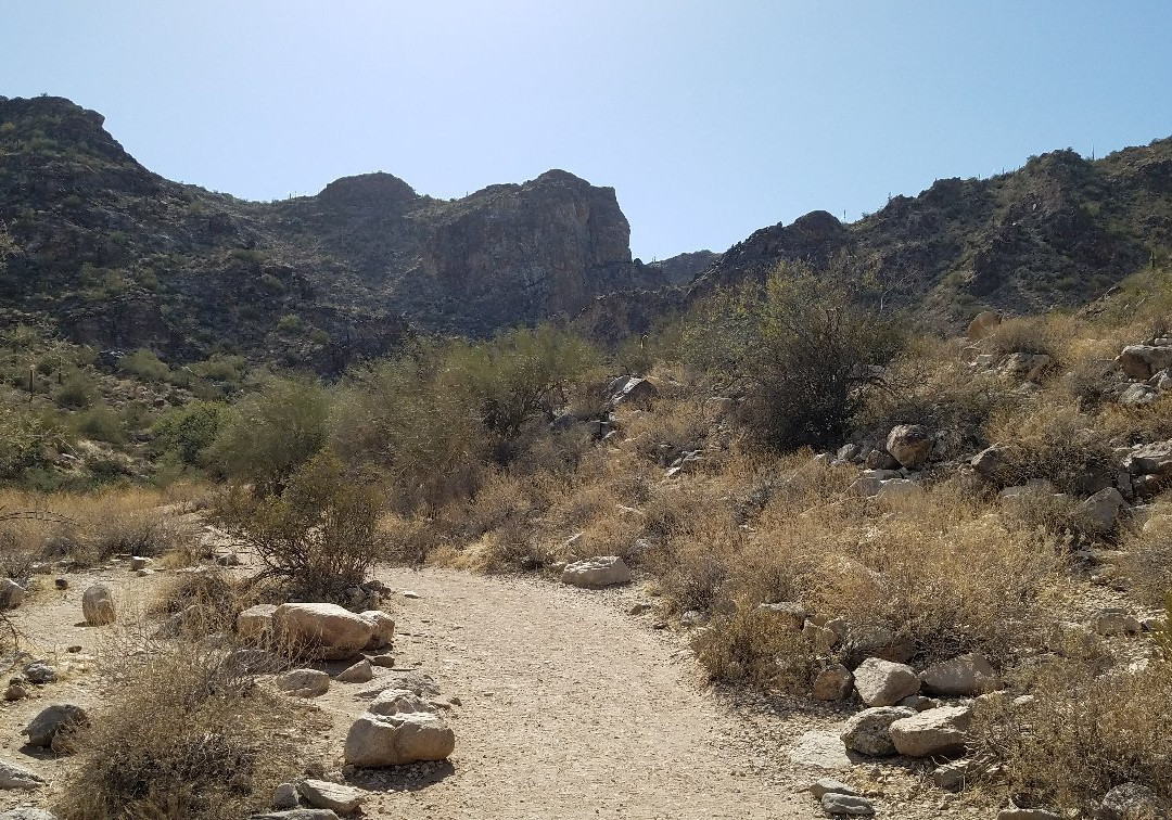 White Tank Mountain Regional Park景点图片