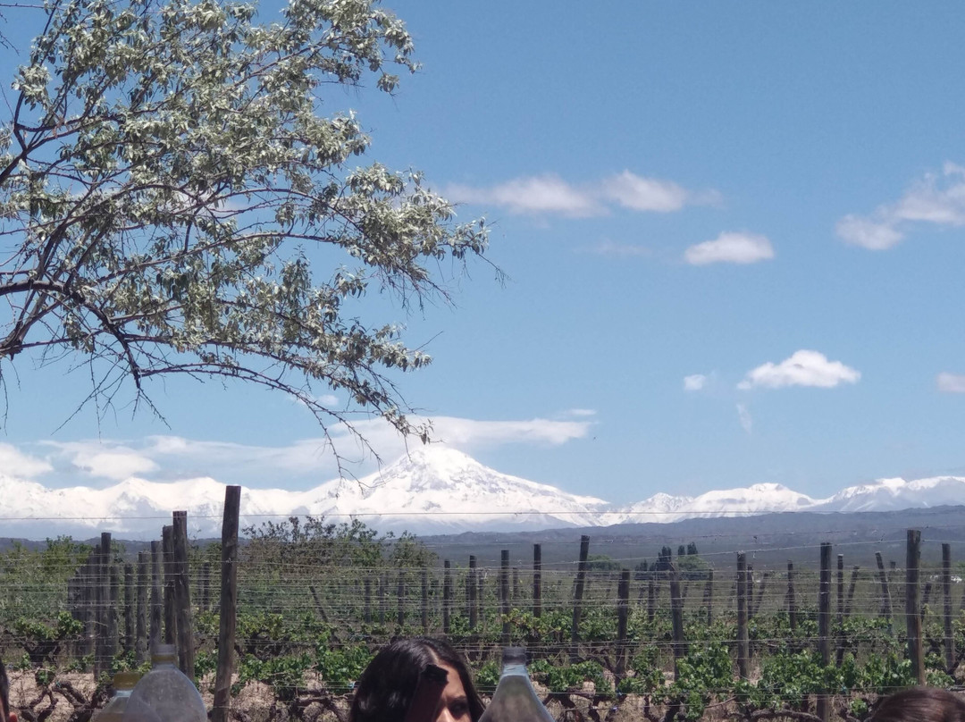 Ugarteche旅游攻略图片