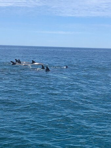 Jet Adventures-戴士柏必去景点