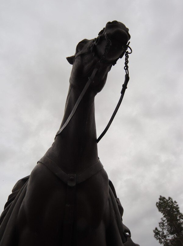 Parque La Ruina-埃莫西约必去景点