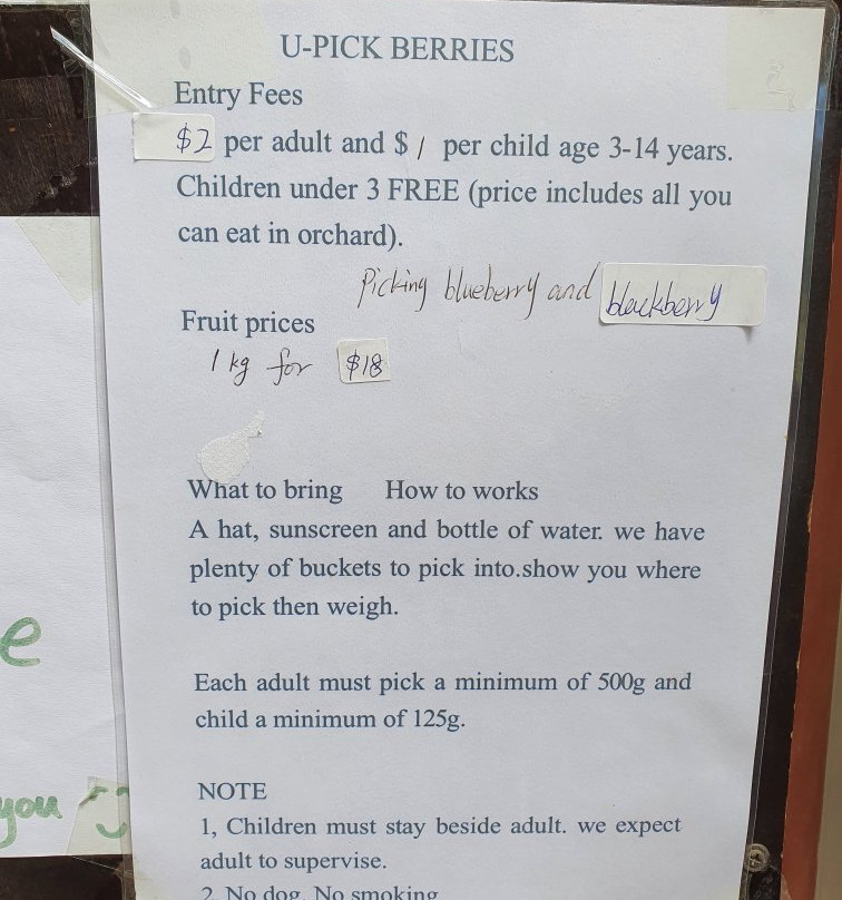 Bright Berry Farms-维多利亚必去景点