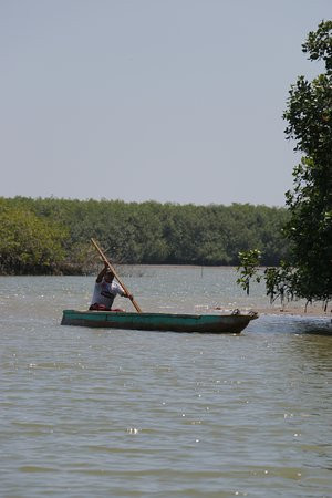 Los Manglares de Puerto Pizarro-Tumbes必去景点