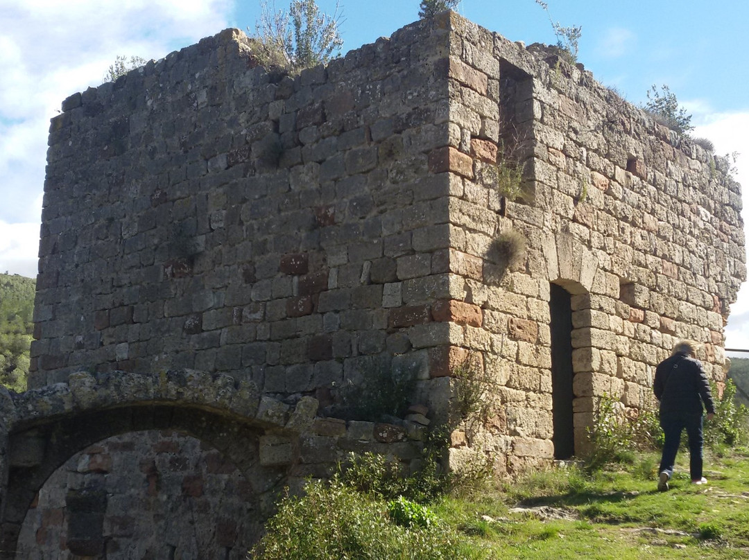 Castell de Mediona景点图片