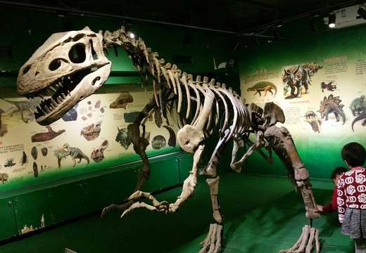 珠海市博物馆-珠海市必去景点