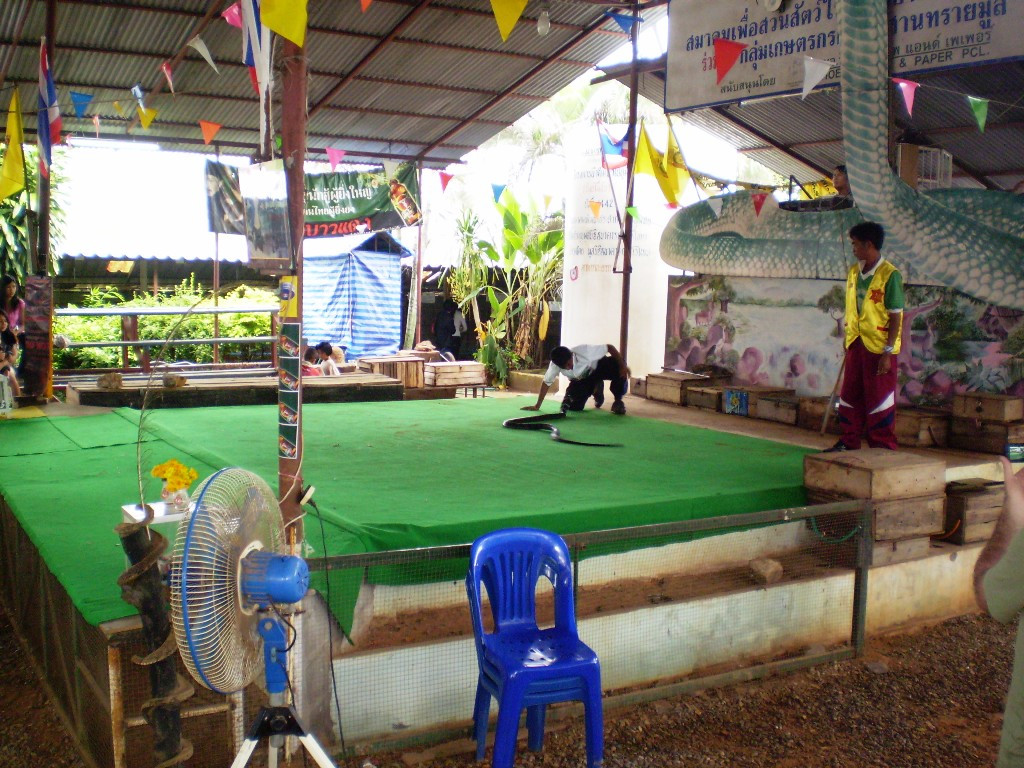 King Cobra Village景点图片