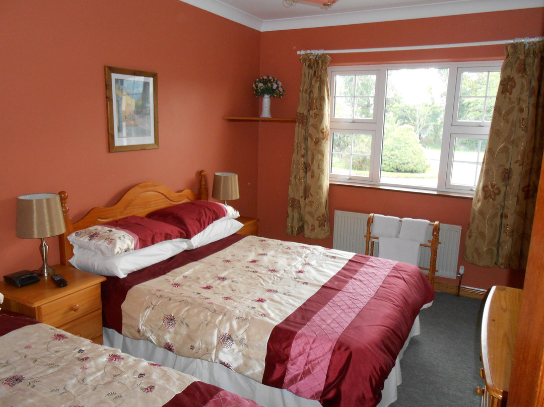 Aughrim酒店住宿-Birchdale House B&B