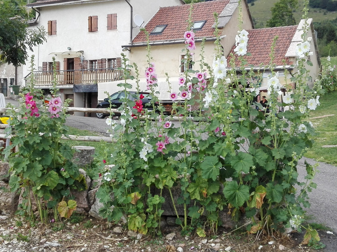 Giazza餐馆和美食-Agriturismo con alloggio l'Incanto