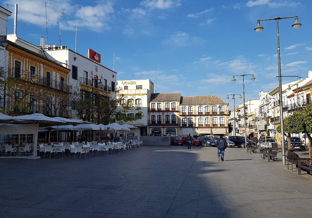 Plaza de la Constitucion景点图片