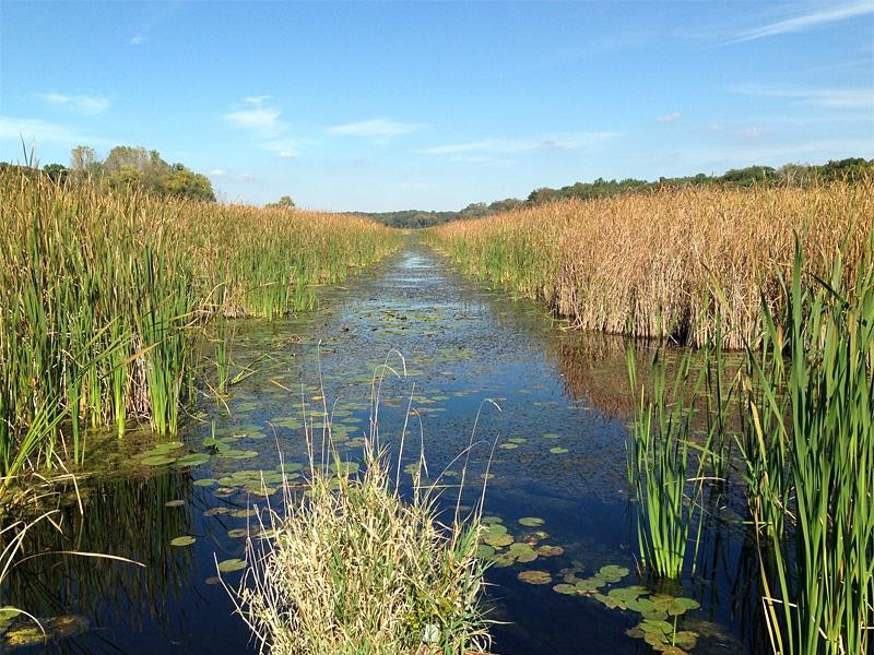 McHenry旅游攻略图片