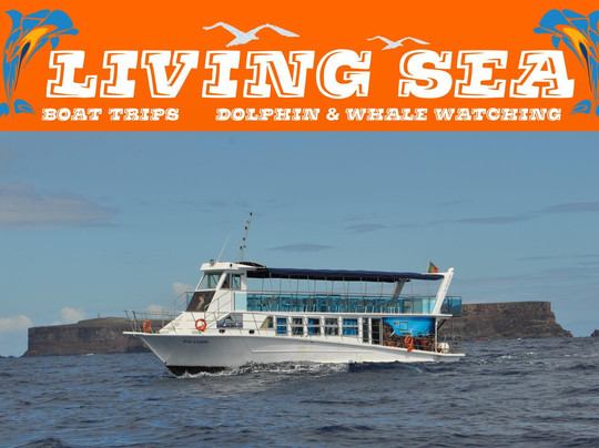 Living Sea Boat Trip