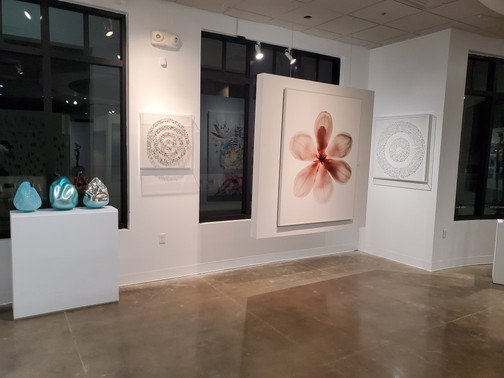 Chase Edwards Contemporary-德拉海滩必去景点