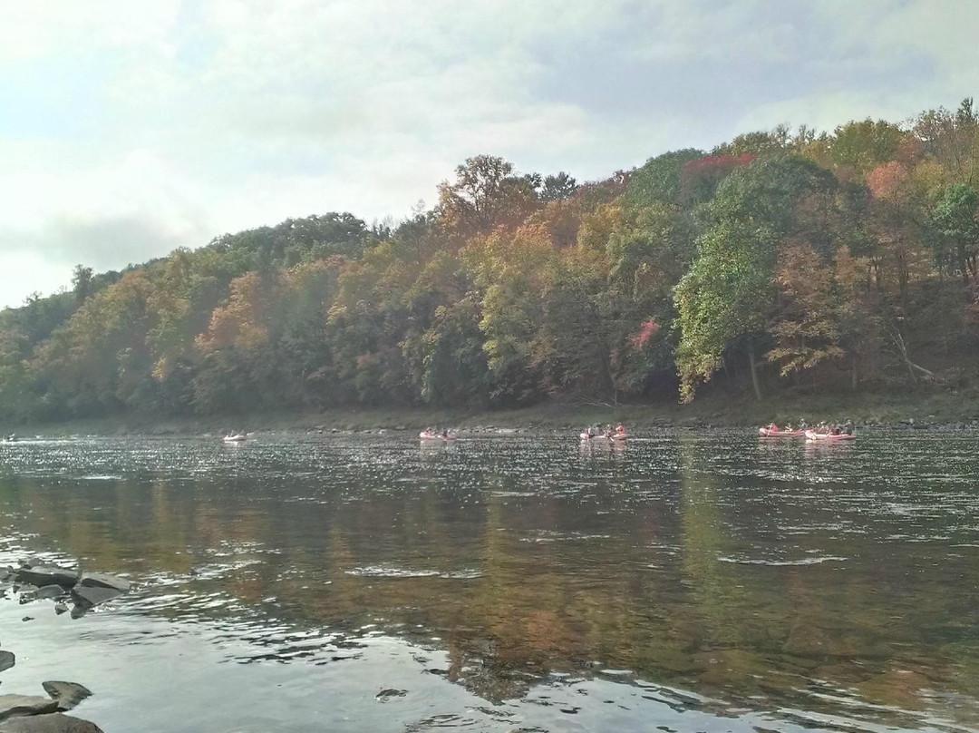 Pond Eddy旅游攻略图片
