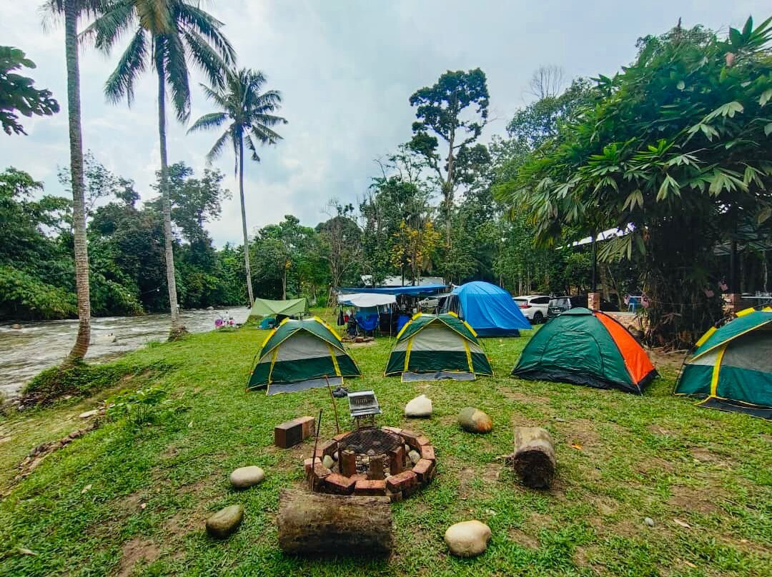 Gopeng Tree Tent