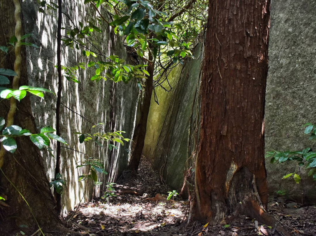 Wonder Caves-Makkamkunnu必去景点