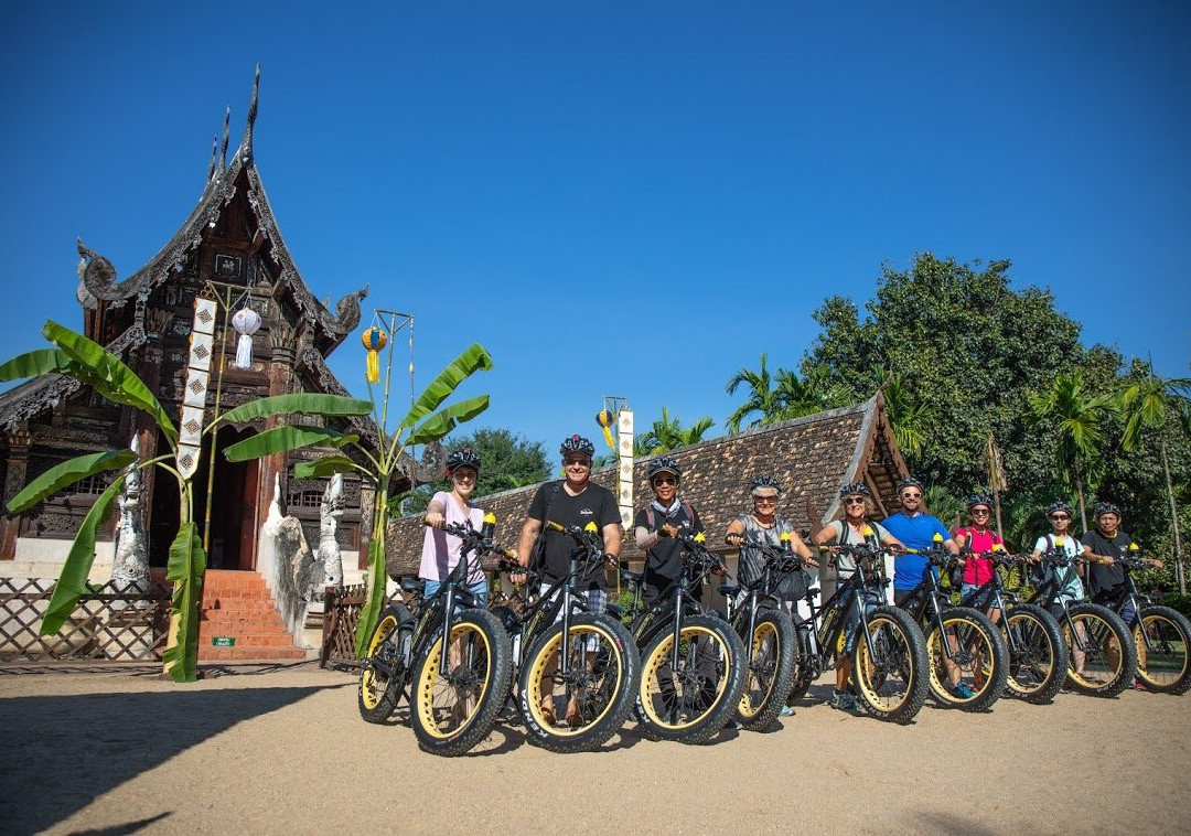 Buzzy Bee Bike景点图片