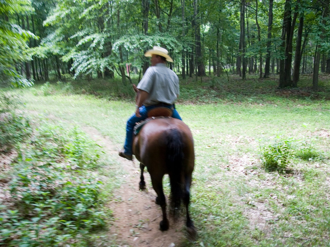 Horseback Riding Trail RIdes景点图片