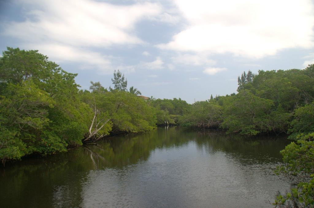 Delaware Scrub Natural Area