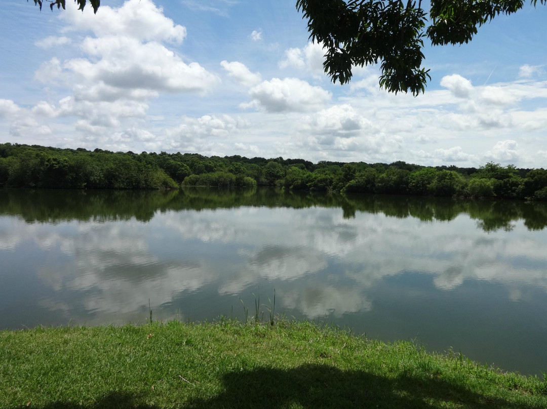 Saddle Creek Park景点图片