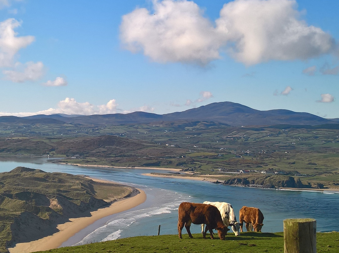 Wild Atlantic Gifts