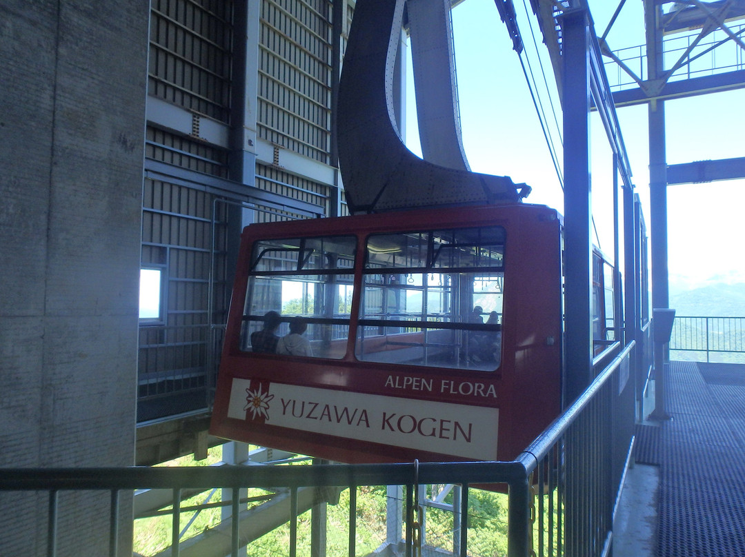 Yuzawa Kogen Ropeway景点图片