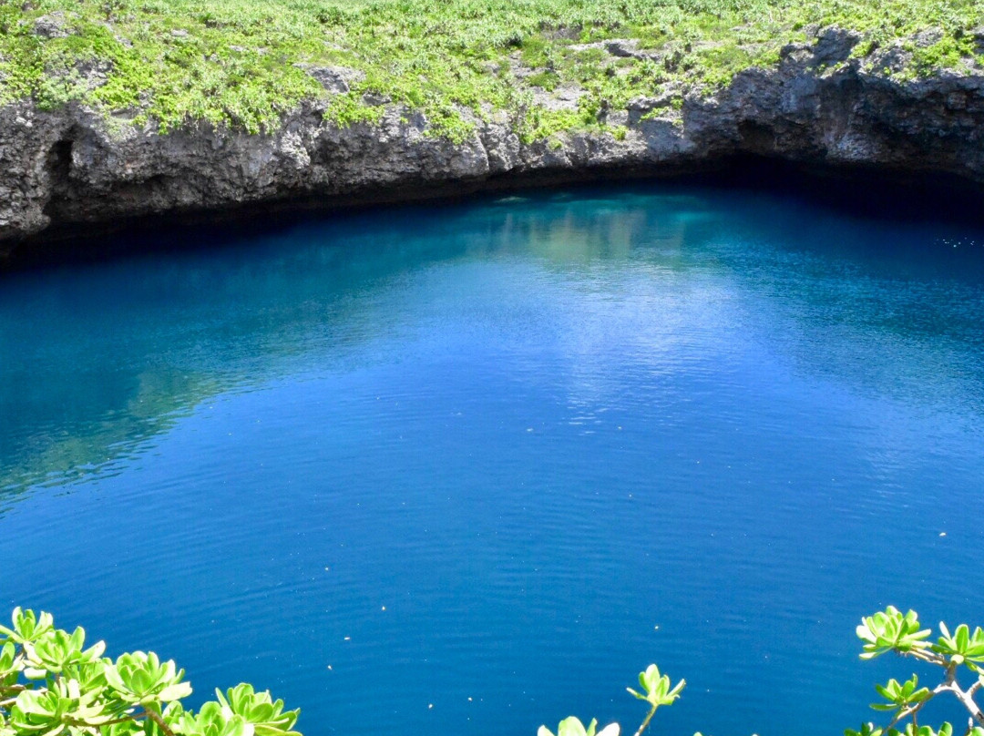 Toriike Pond景点图片