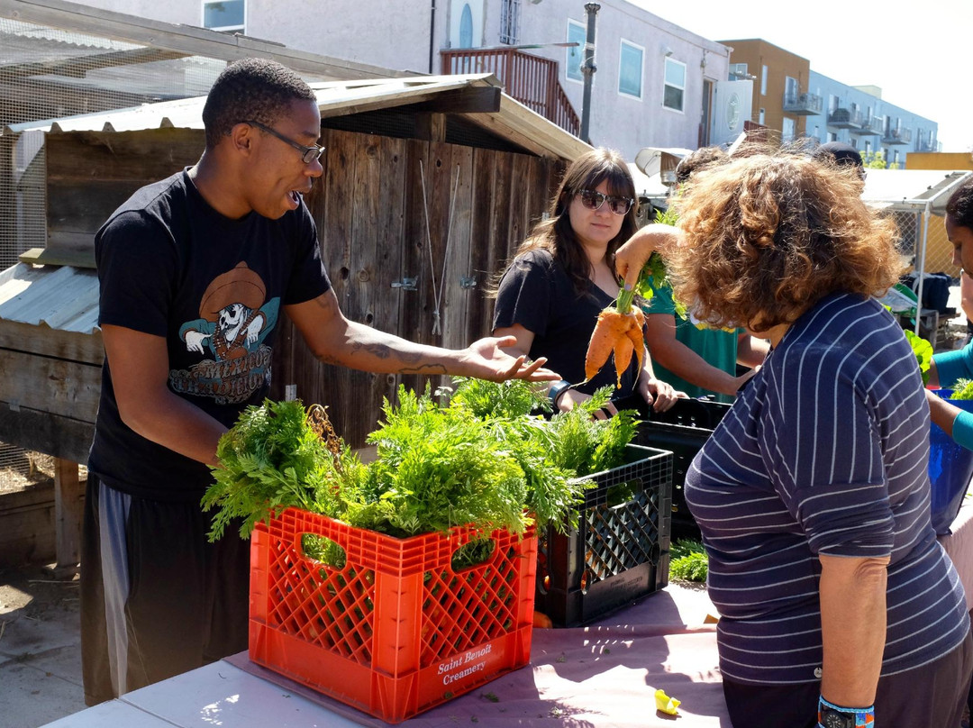 Urban Adamah-伯克利必去景点