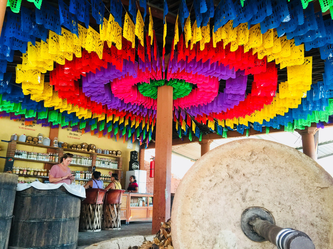 Camiba Cultural Tours-奥斯丁必去景点