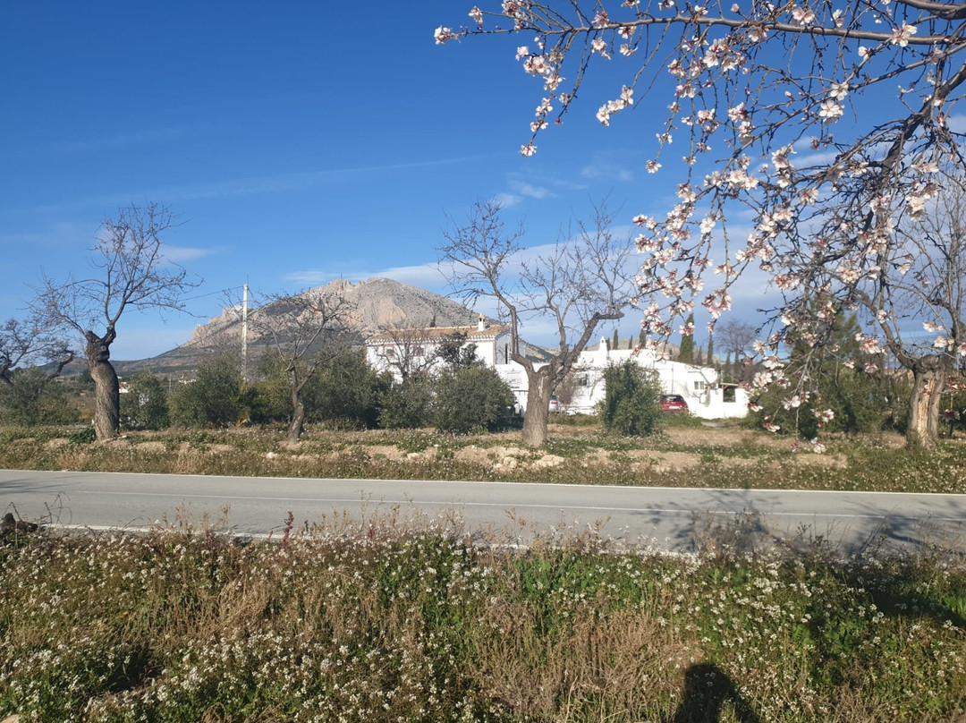 Boutique Bed & Breakfast Casa Paco主图