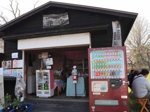 松前観光案内所 花守