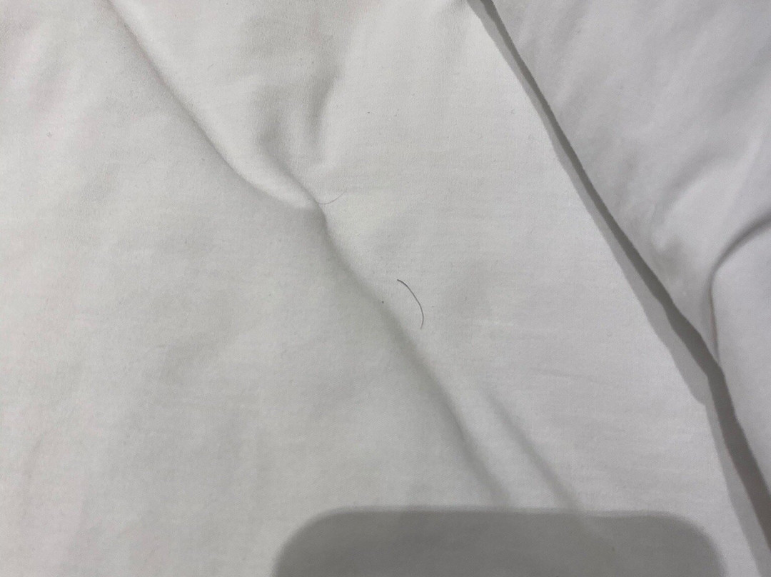 Courtyard By Marriott Chihuahua主图