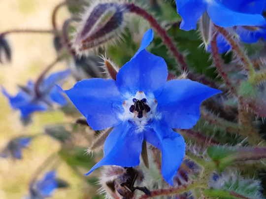 Sentiero Argentiera Nurra-Argentiera必去景点
