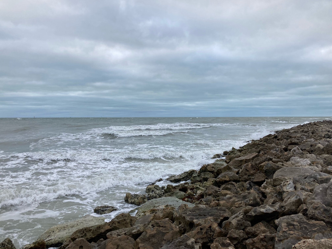 Residence Inn by Marriott Clearwater Downtown主图